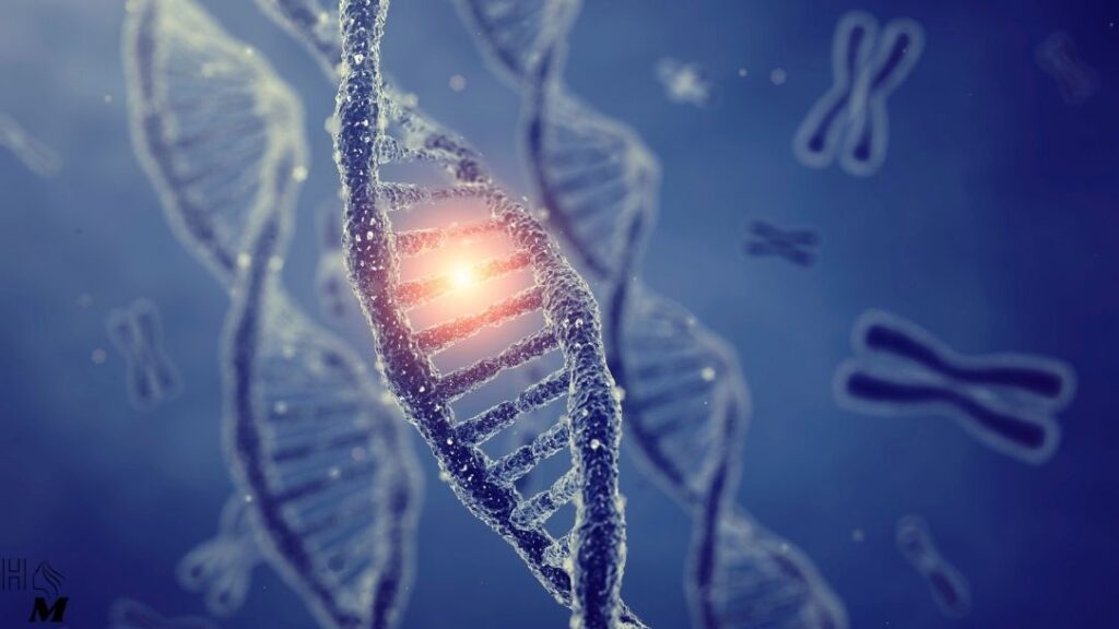 cadeia de dna para o controle de peso